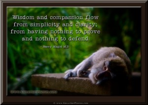 Monkey Wisdom and Compassion