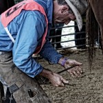 Horsemanship