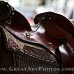 Packhorse Saddle Art