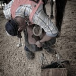 Horse Shoeing Competition