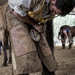 Horseshoeing
