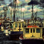 Eden Fishing Wharf