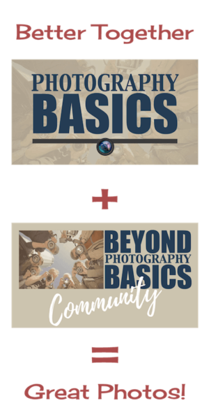 Photography Basics and Beyond Basics Membership